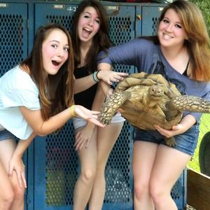 Meet your Posher, Karissa